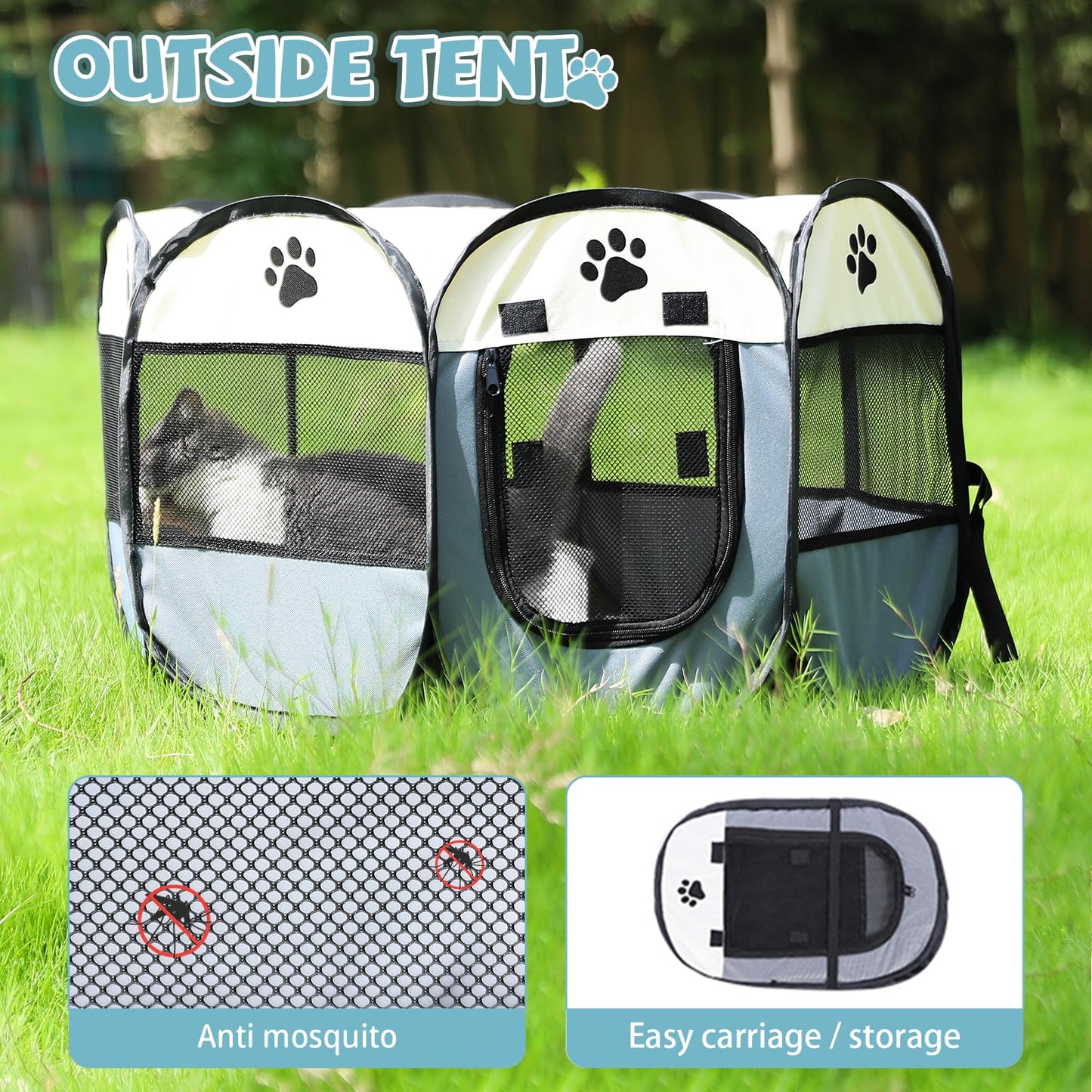 Tailhaus Tent