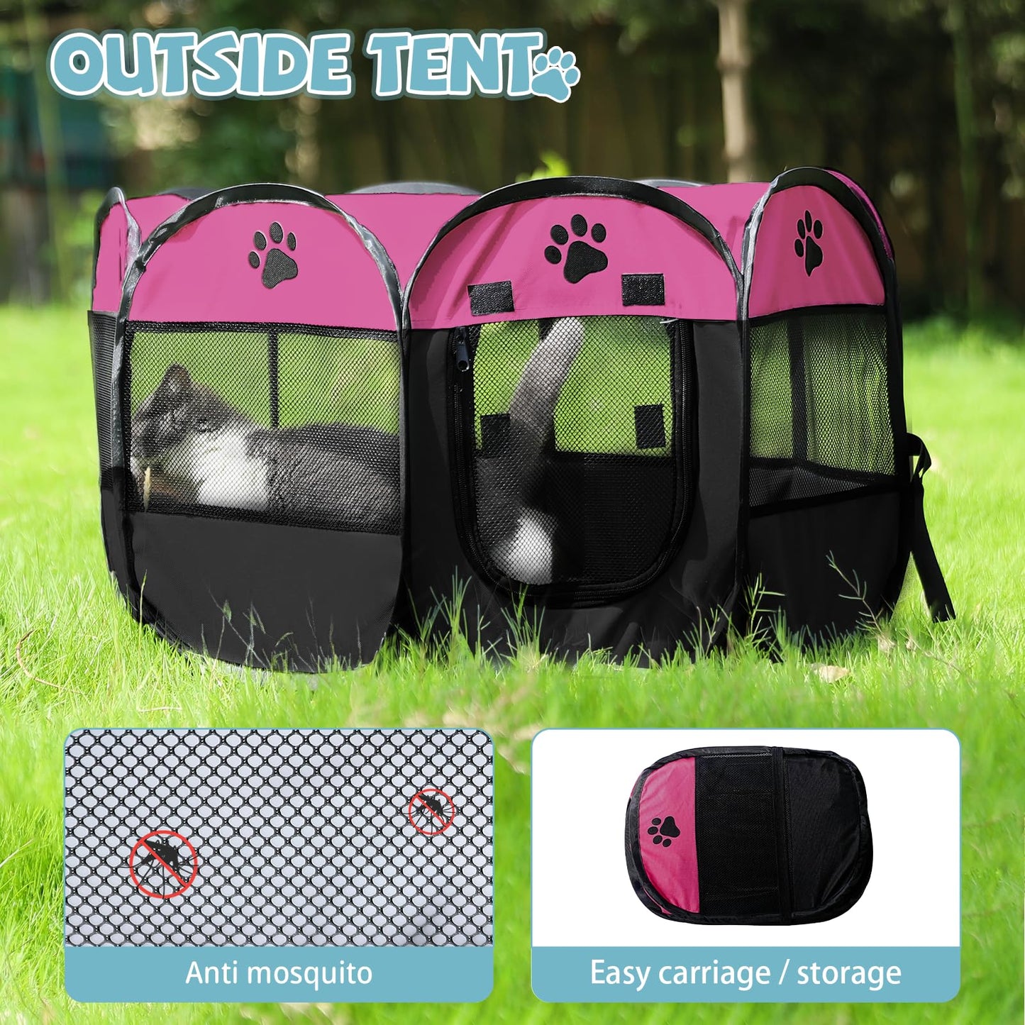 Tailhaus Tent